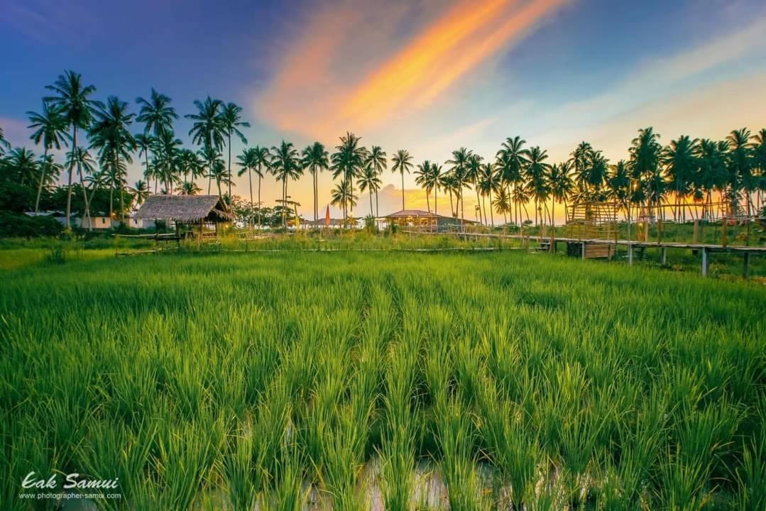 Resort I - Talay Samui - เขา ป่า นา เล ตลิ่งงาม สมุย Taling Ngam Beach